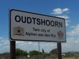 Struisvogels in Alphen a/d Rijn