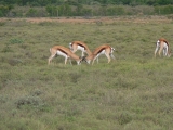 P1100084
