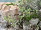 P1100138