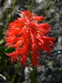 P1100426