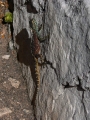 P1100457